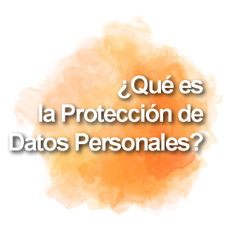 ¿Qué es la Protección de Datos Personales?