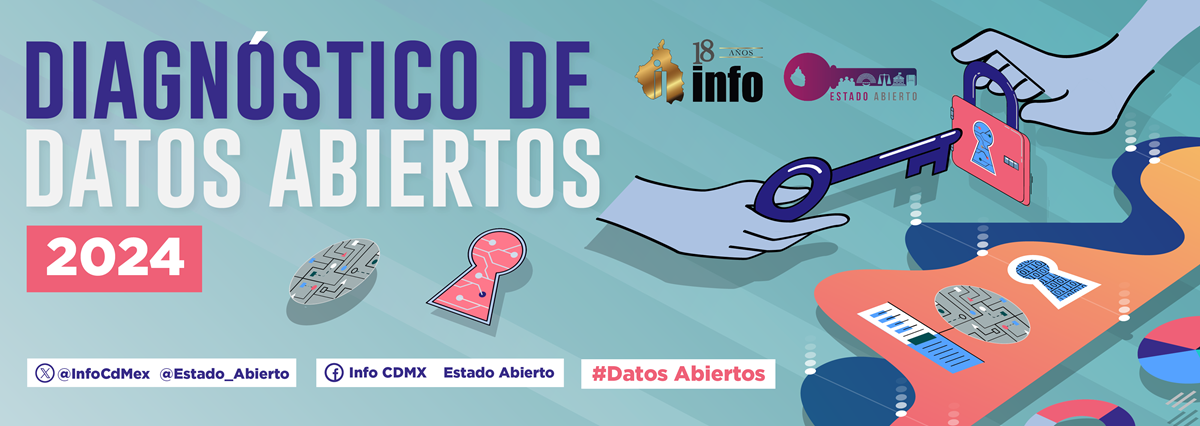 Diagnóstico de Datos Abiertos. Consúltalo aquí