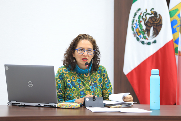 SESIÓN DE PLENO INFOCDMX 080224