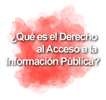 ¿Qué es el Derecho al Acceso a la Información Pública?